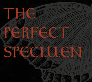 An image that says 'the perfect specimen'